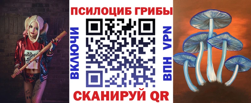 Псилоцибиновые грибы MAGIC MUSHROOMS  как найти закладки  Канск 